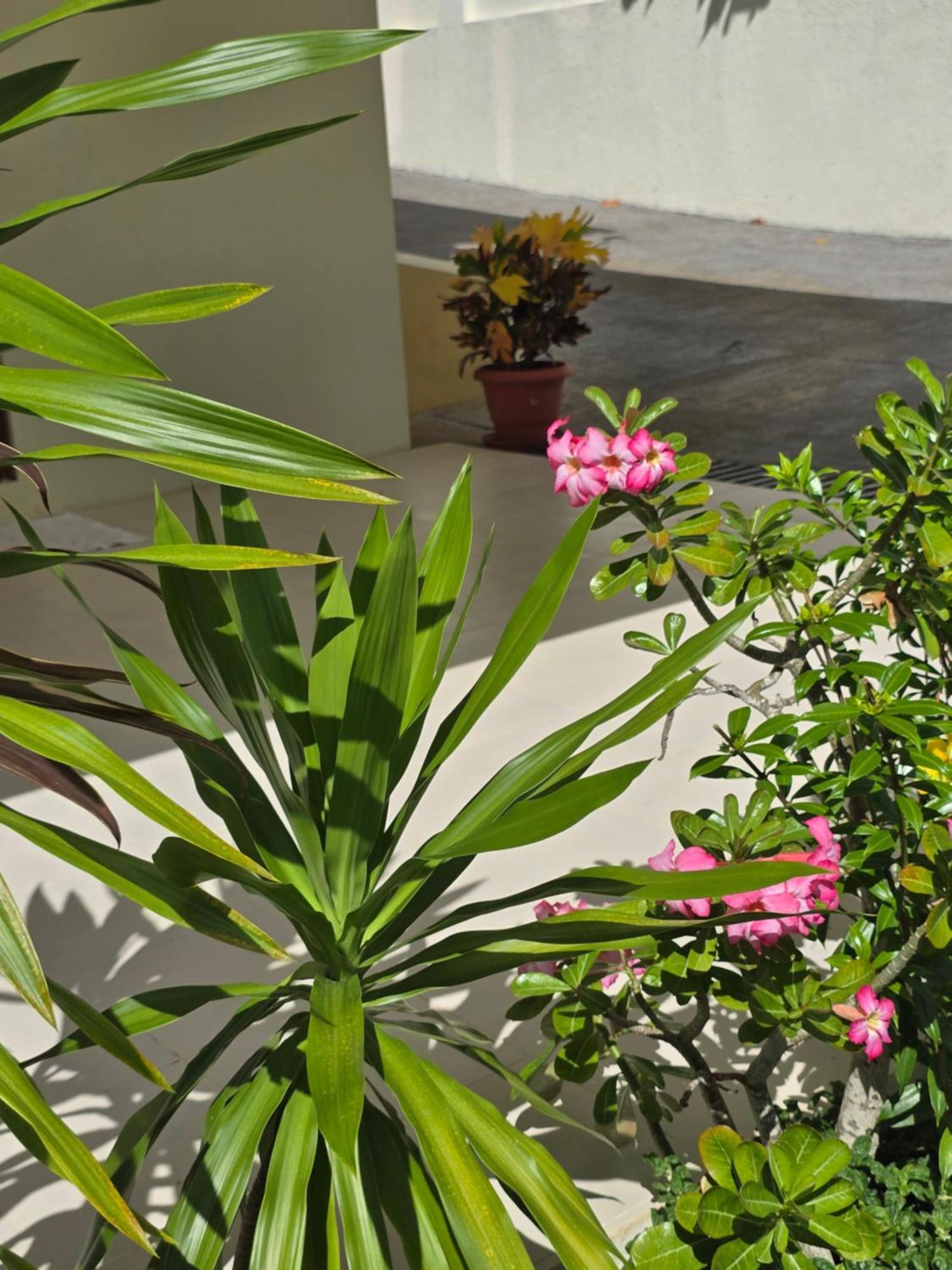 Emma'S Guest House And Self-Catering Au Cap Exteriör bild
