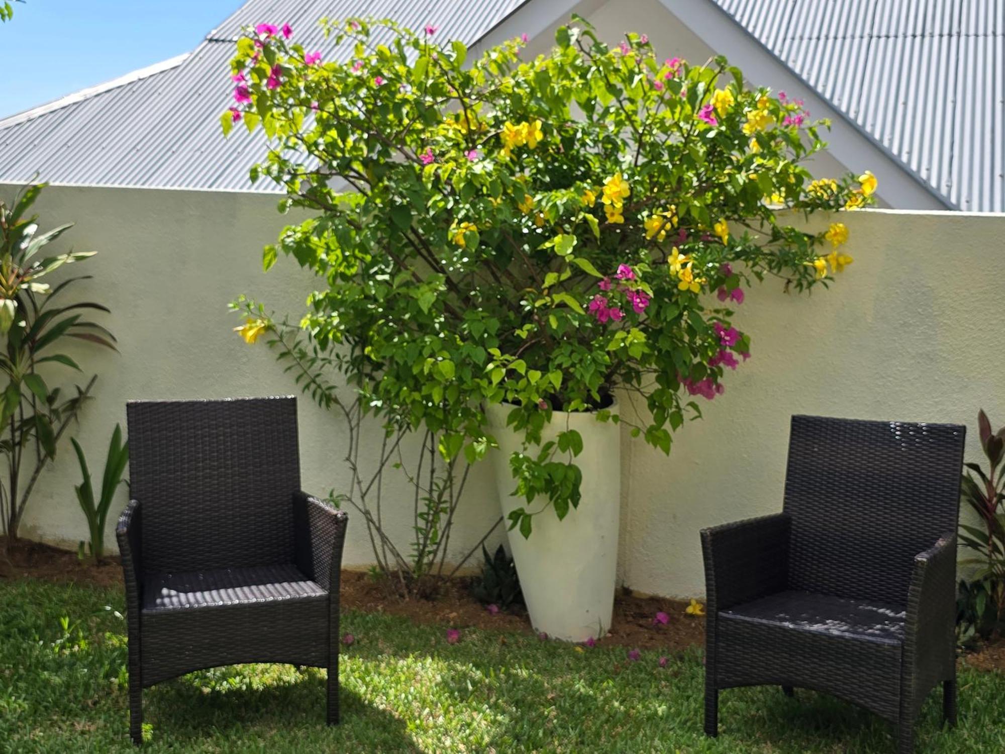 Emma'S Guest House And Self-Catering Au Cap Exteriör bild